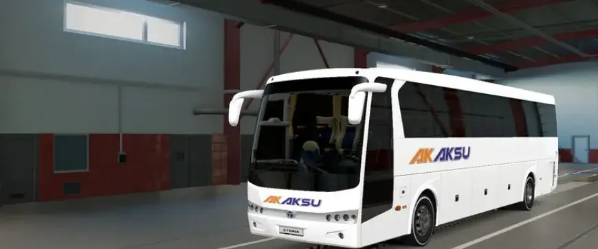 Temsa Safir II VIP AK AKSU SKIN