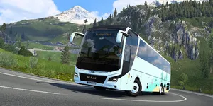Coaches: Turist İşleri